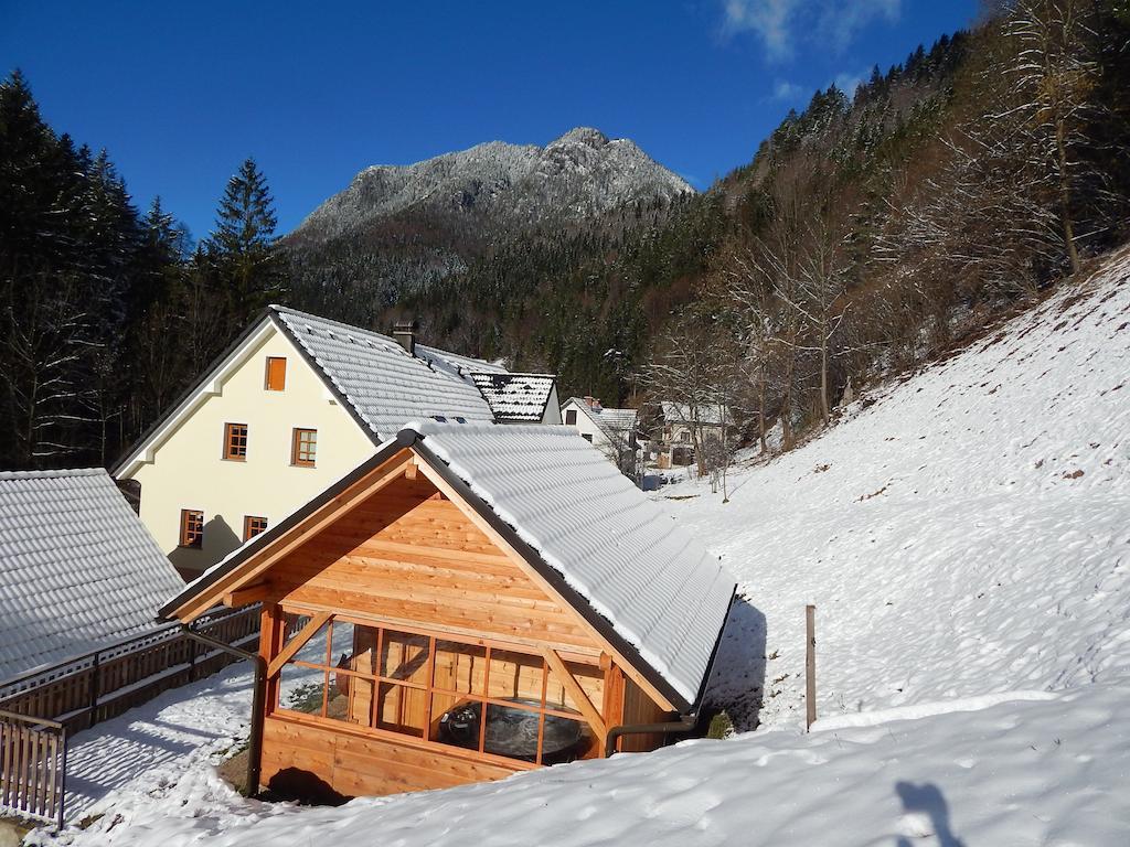 Farmhouse Stiftar Solčava Eksteriør billede